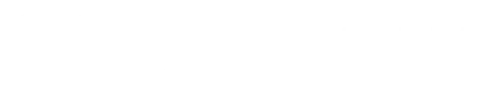 Salient Systems